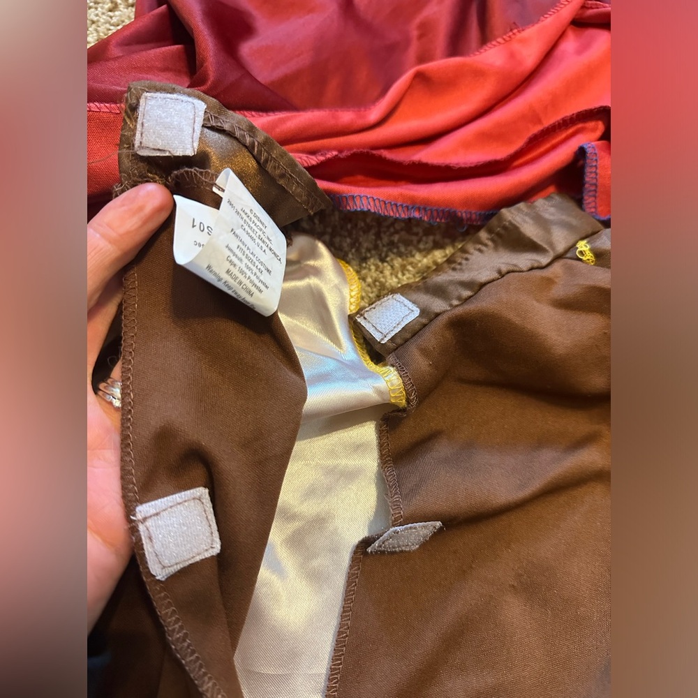 Disney’s Raya Costume Set - Picture 8 of 10